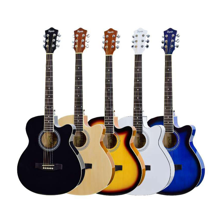 Tayste T401 Acoustic Guitar With bag and picks