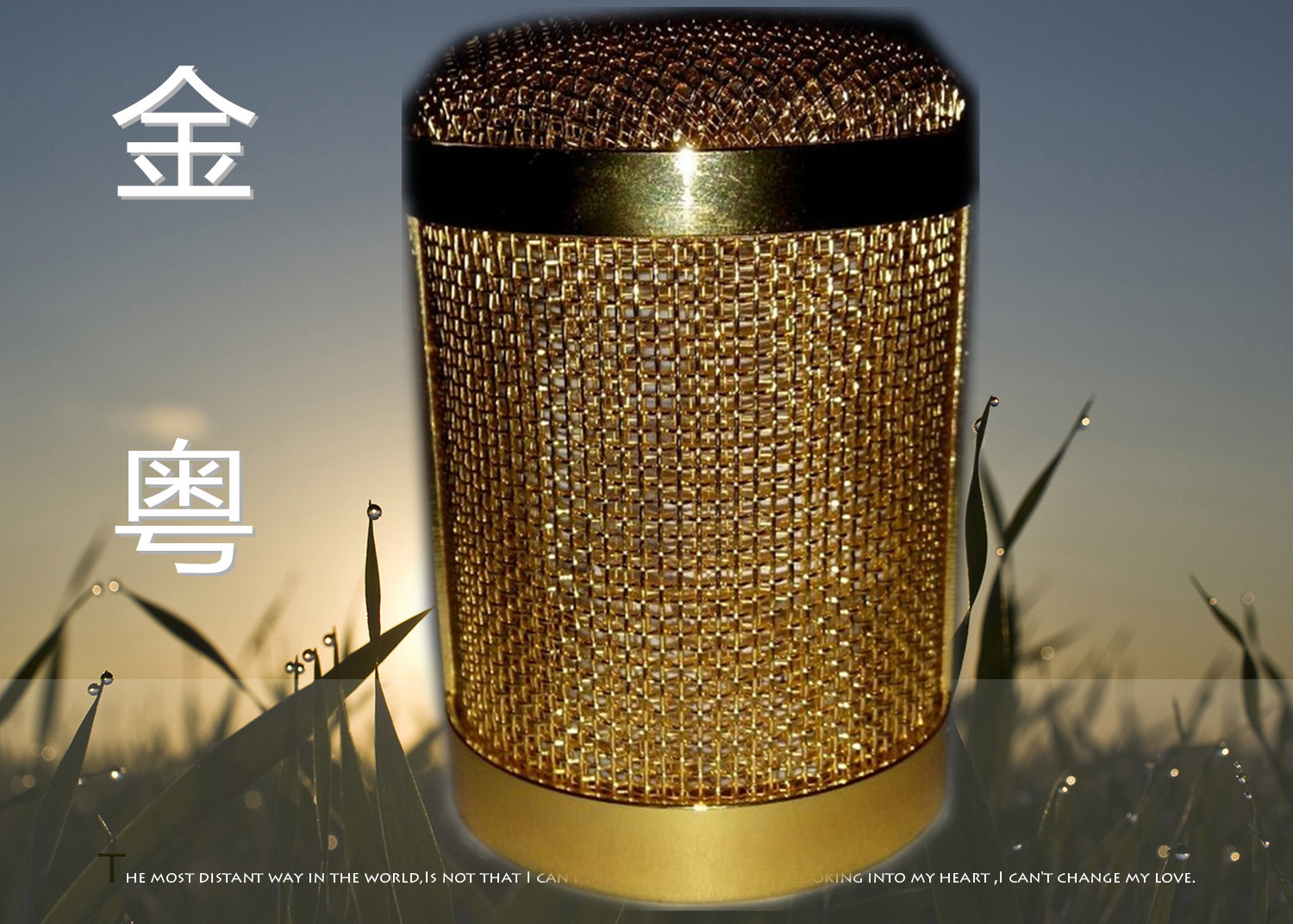 JY-052 A Microphone net head Mesh Cover