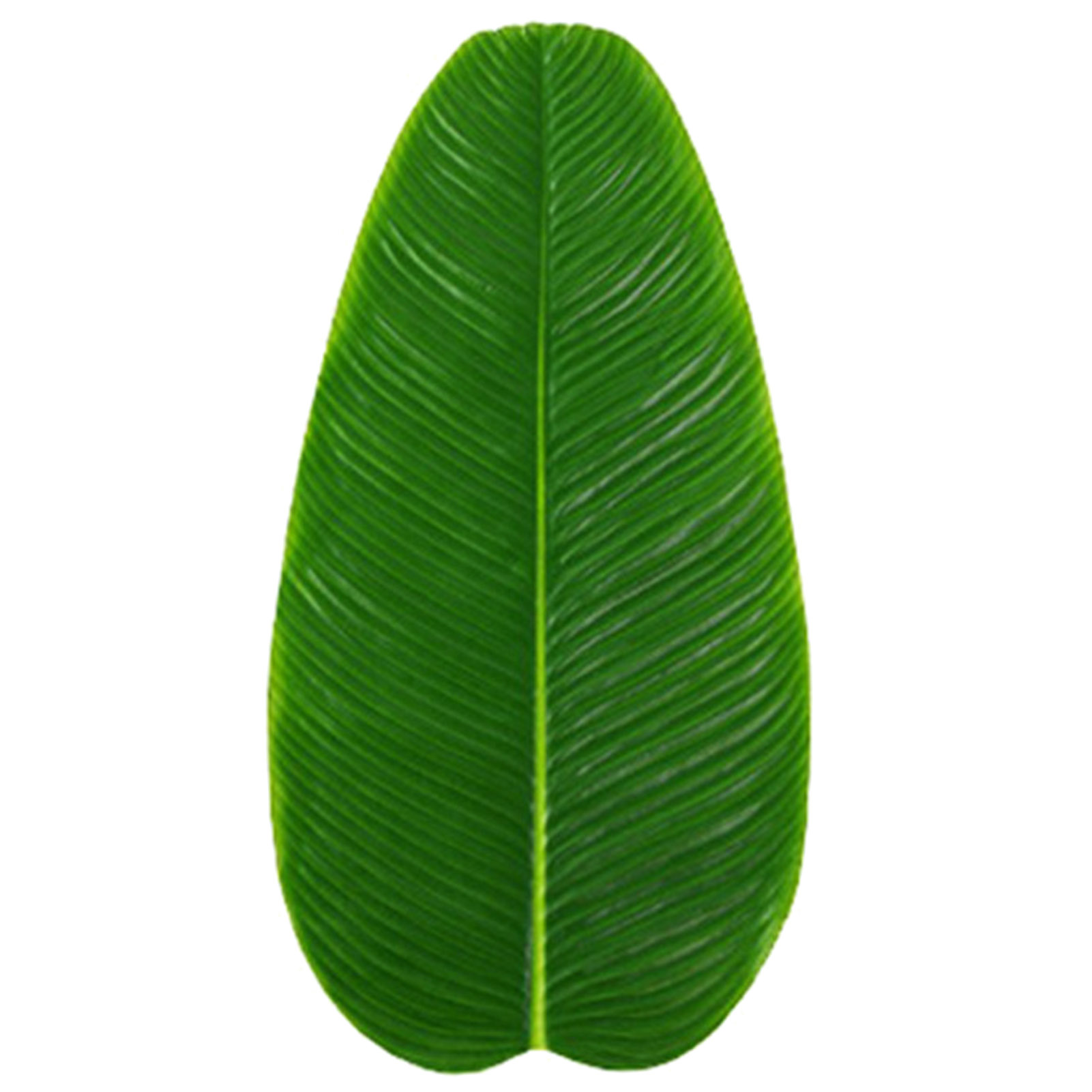 Artificial Leaf Flexible Green Tropical Simulation Banana Leaf. 