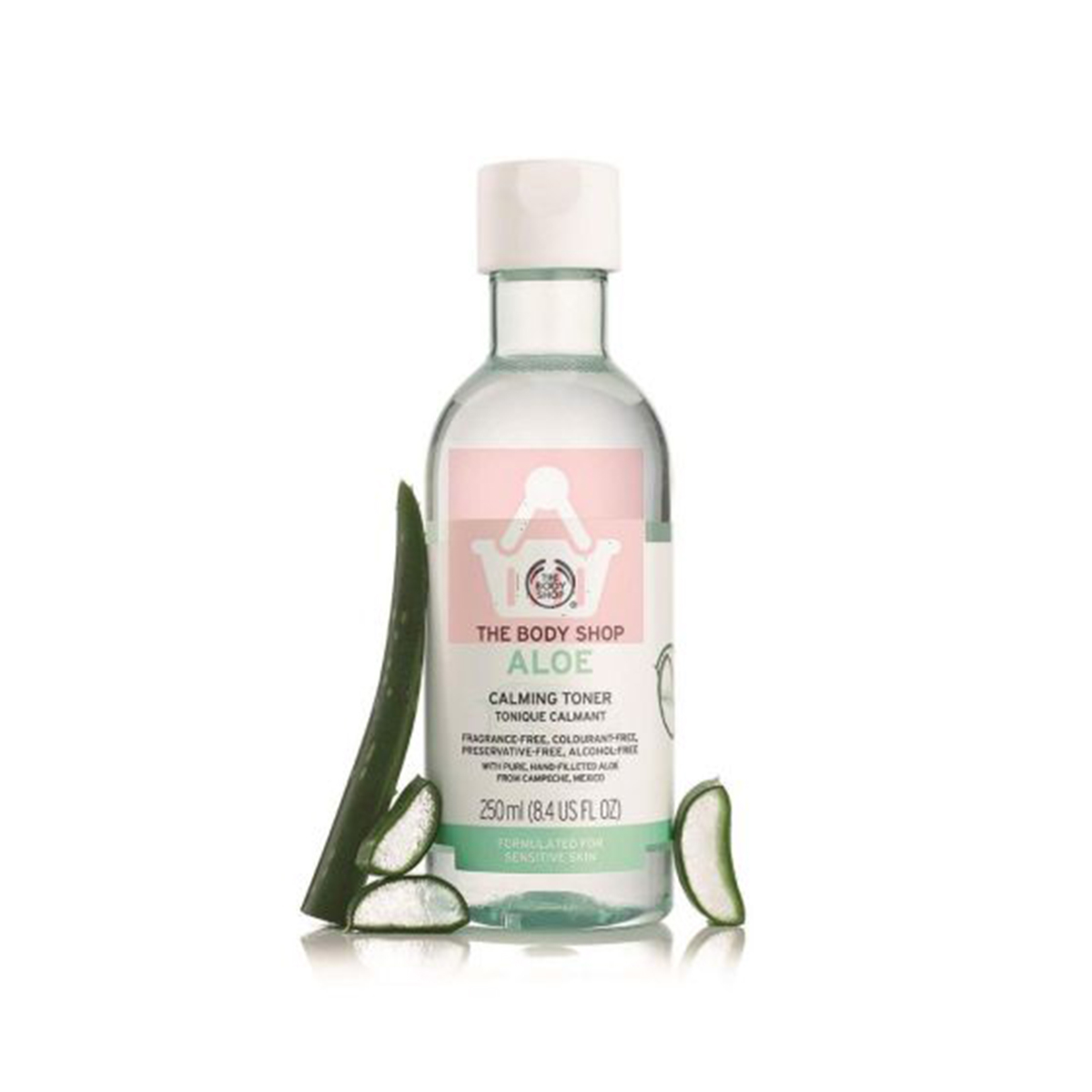 aloe vera size Aloe decaryi