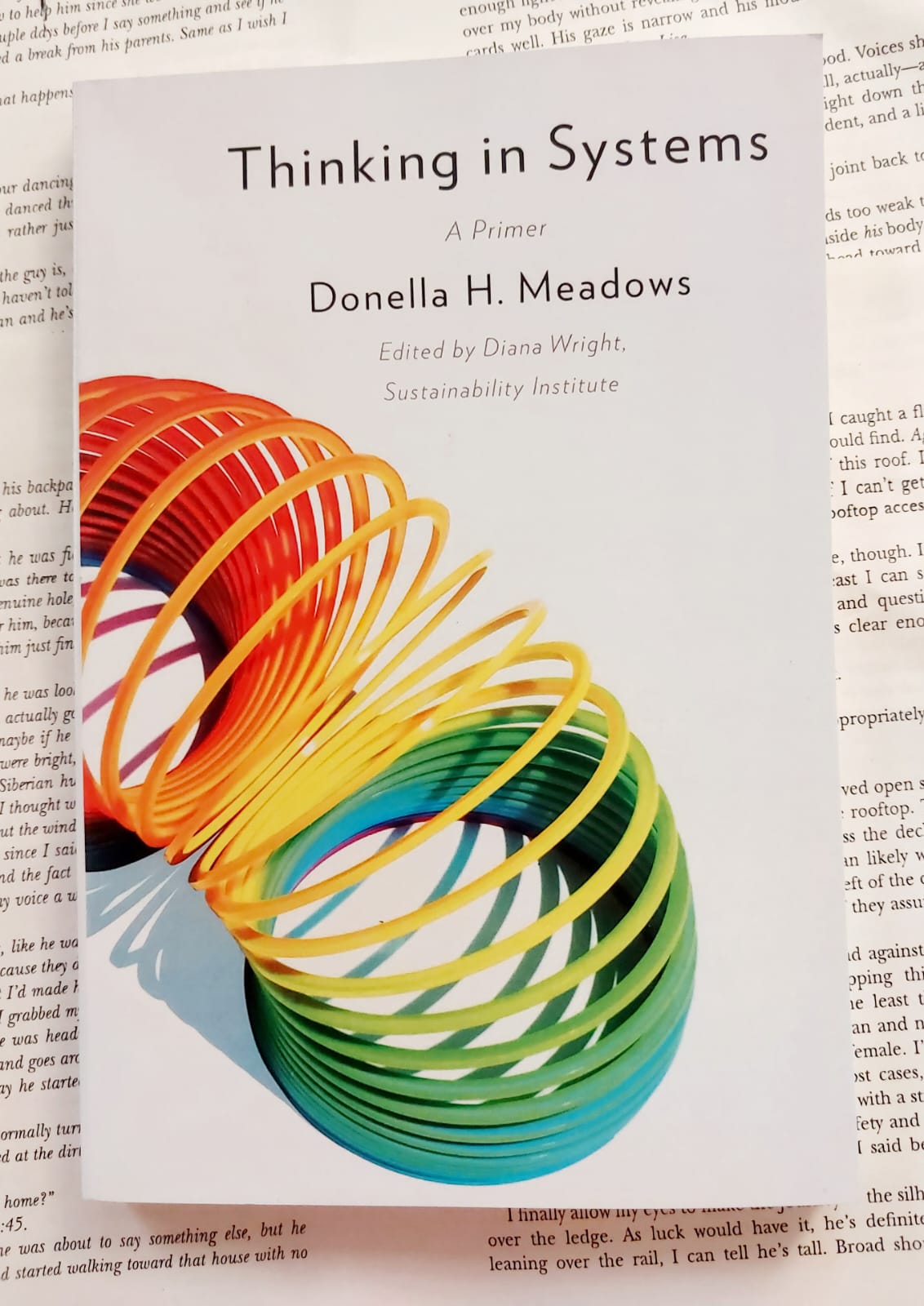 Thinking in Systems: A Primer by Donella Meadows (Premium Quality - Paperback). 
