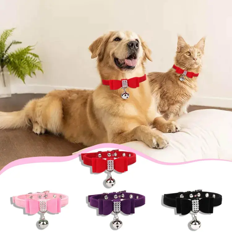 Rope chain hot sale dog collar