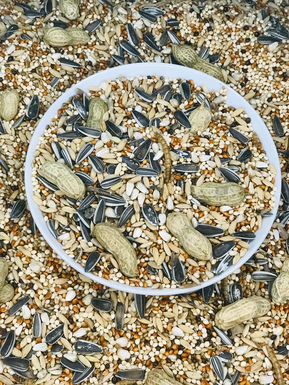 Ringneck Parrot Premium Seed Mix For Bird-1kg