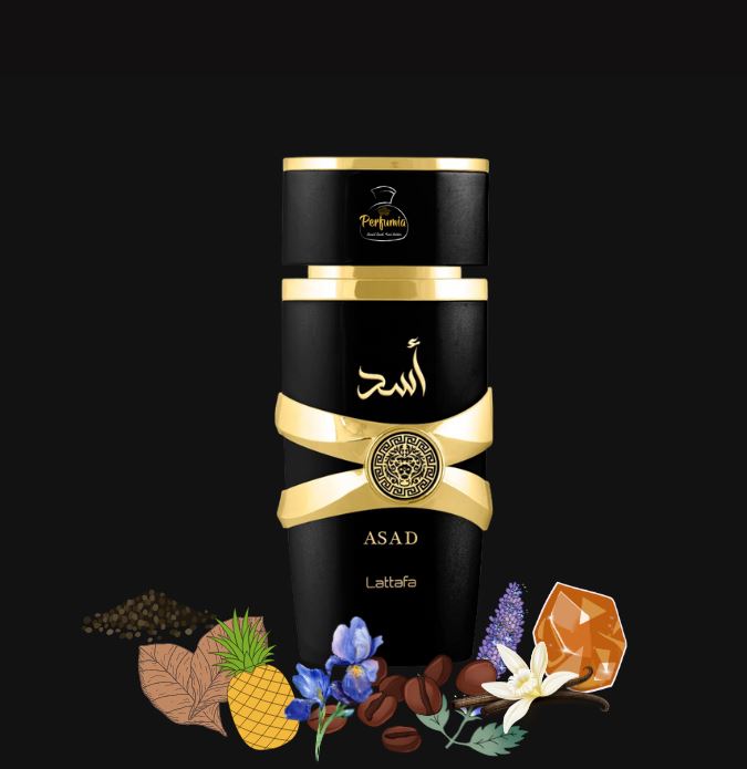 Lattafa Asad Eau De Perfume for men, 100ml. 