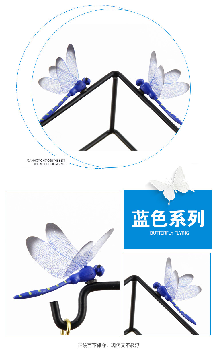 Butterfly 1_15.jpg