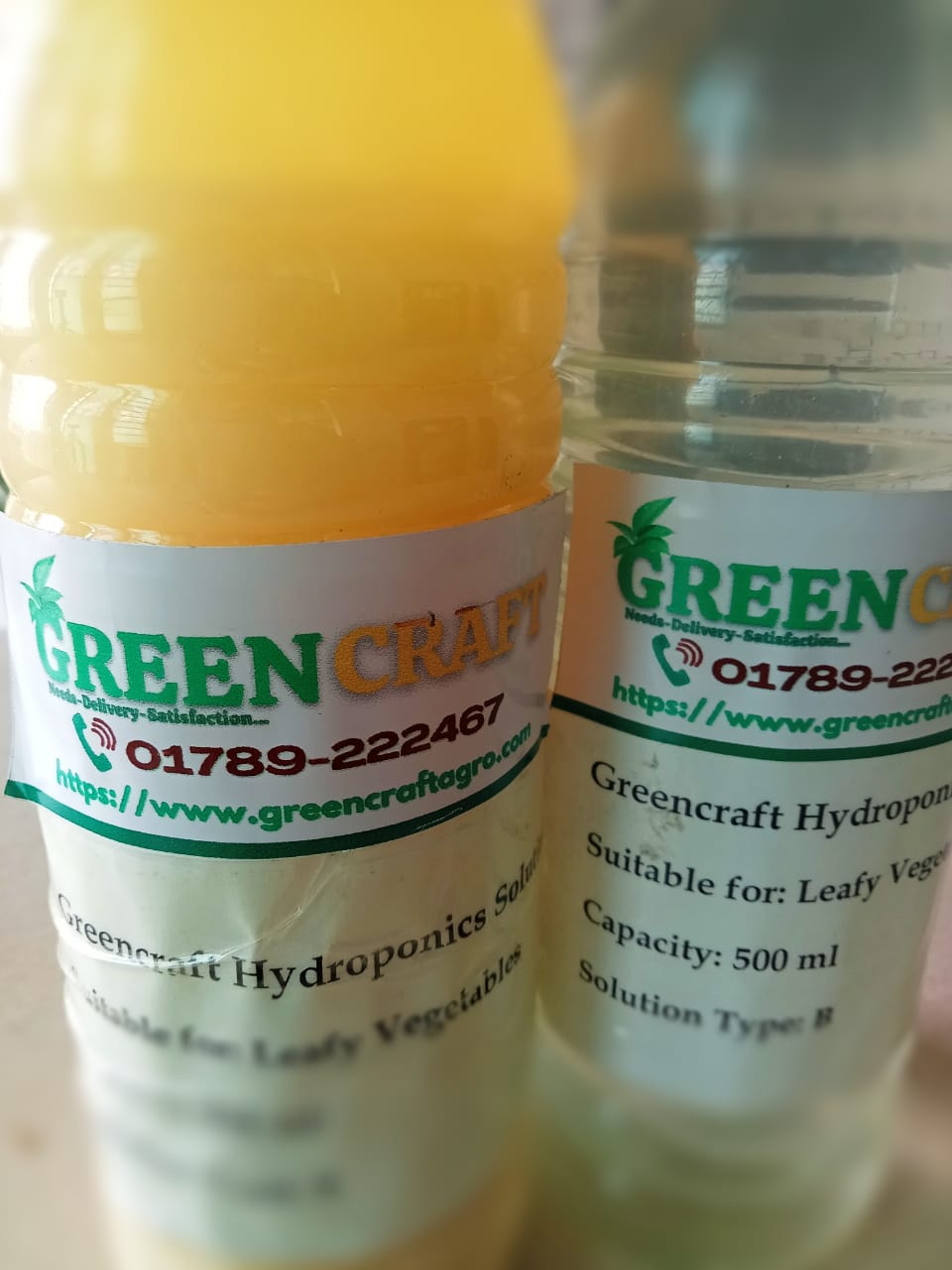Hydroponics Nutrient Solution, Solution A & B, Best for Soilless Gardening for Leafy Type Vegetables. 
