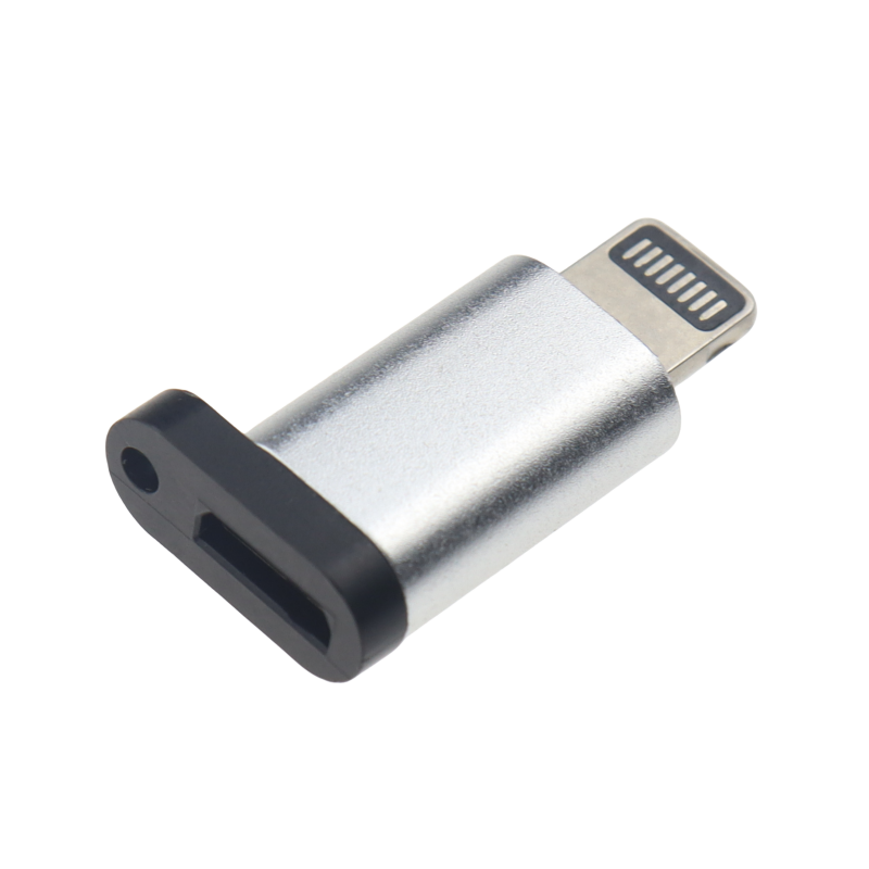 USB type C to lightning converter. 