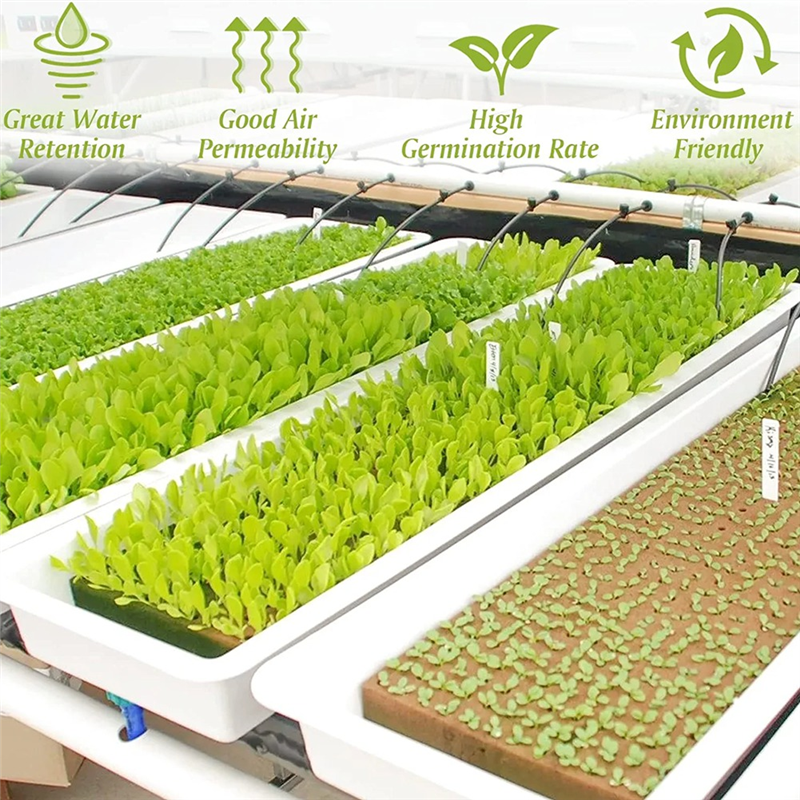 50Pcs Stonewool Hydroponic Grow Media Starter Cubes Plant Cubes Soilless Substrate Seeded Rock Wool Plug Seedling Block. 