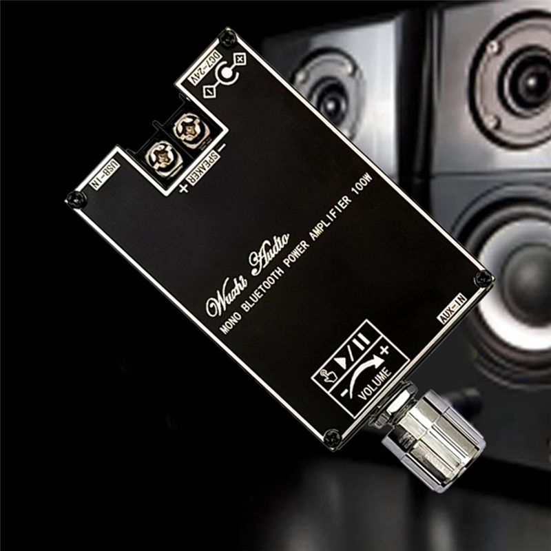 Mono 100W Bluetooth Audio Amplifier Board with TWS Box Function Audio Module DC7-24V ZK-1001B. 