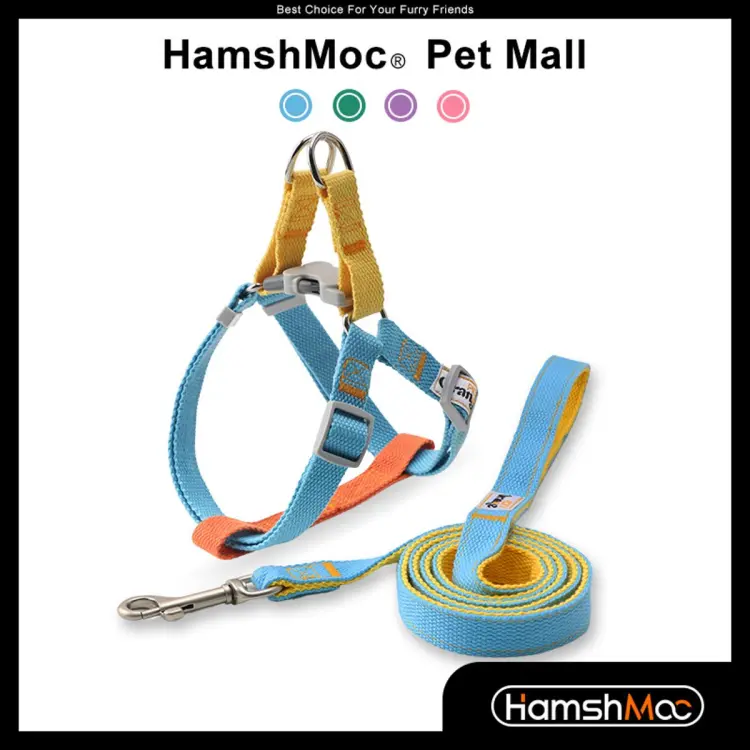 Great choice step outlet in dog harness