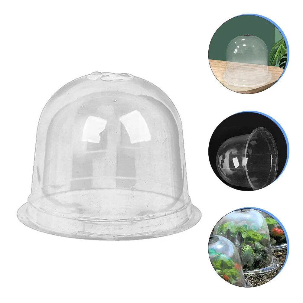 reusable live plants outdoor garden cloche humidity dome garden cloche dome bell cover greenhouse for starter lavender plants