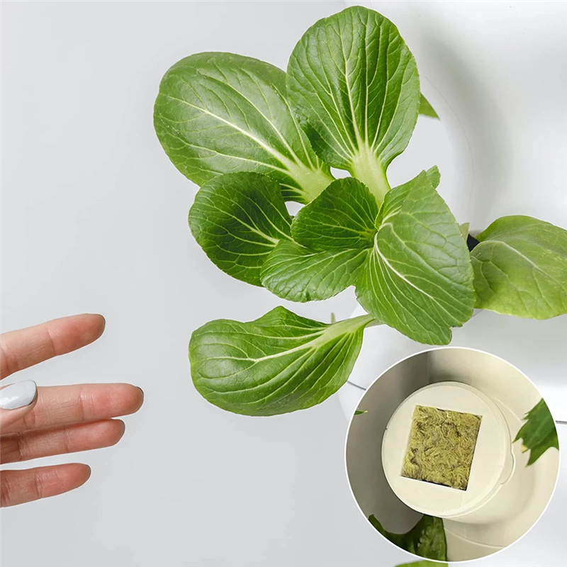 50Pcs Stonewool Hydroponic Grow Media Starter Cubes Plant Cubes Soilless Substrate Seeded Rock Wool Plug Seedling Block. 