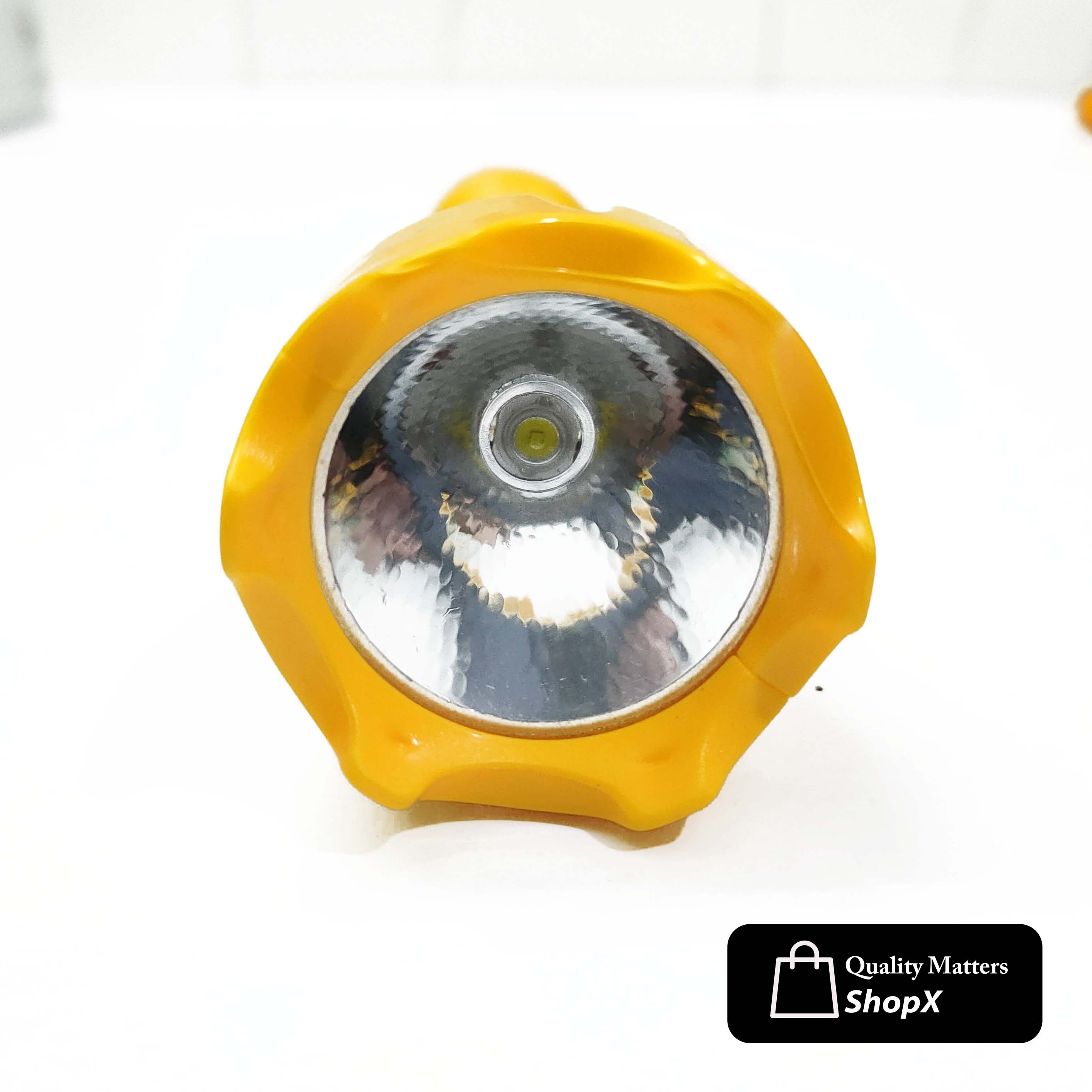 PLSUPREME PL-010 Torch Light Rechargeable LED Flashlight with Charger. 