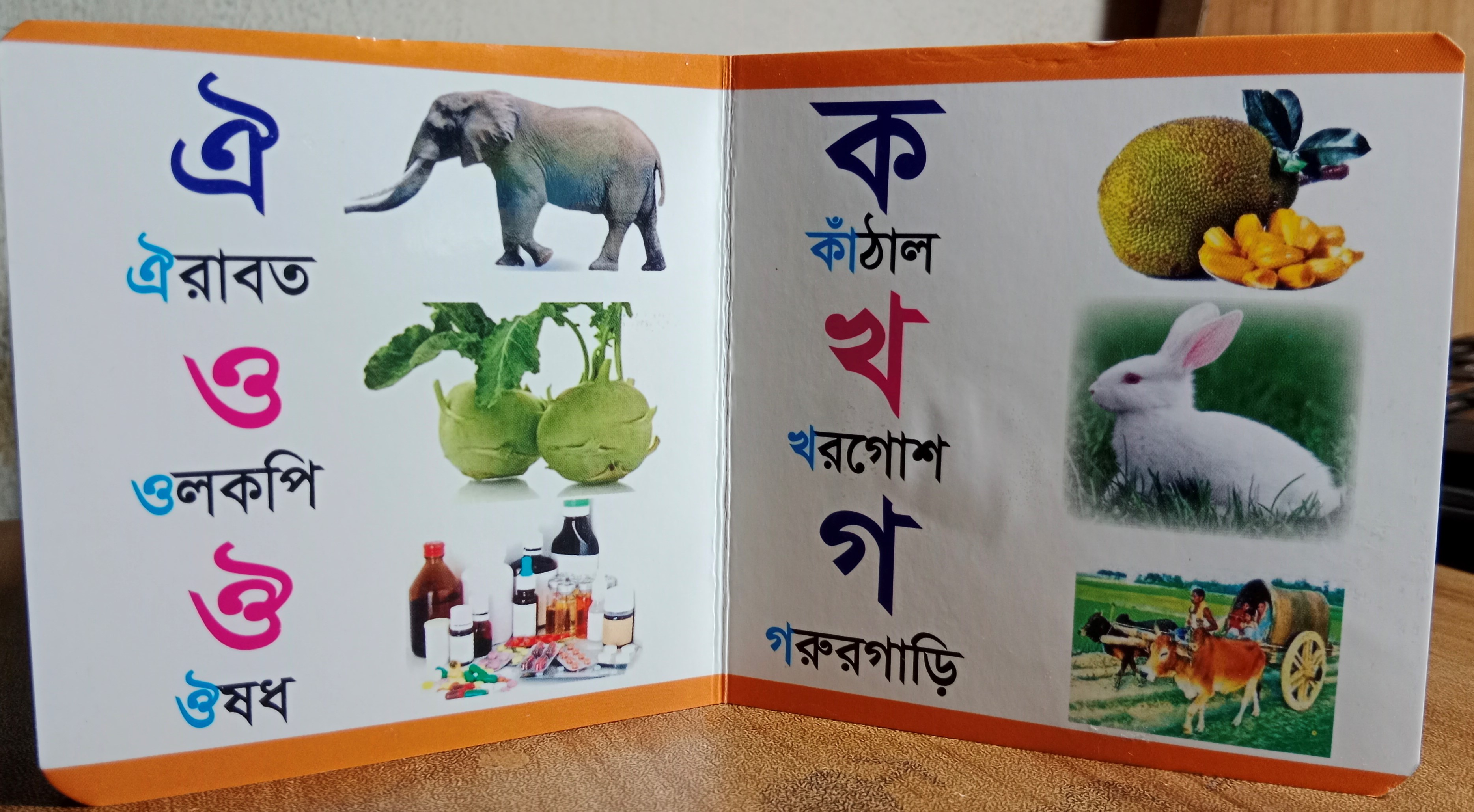 Kids Learning Box With 12 Book (Which is helpful in the development of children's knowledge and talents.). 