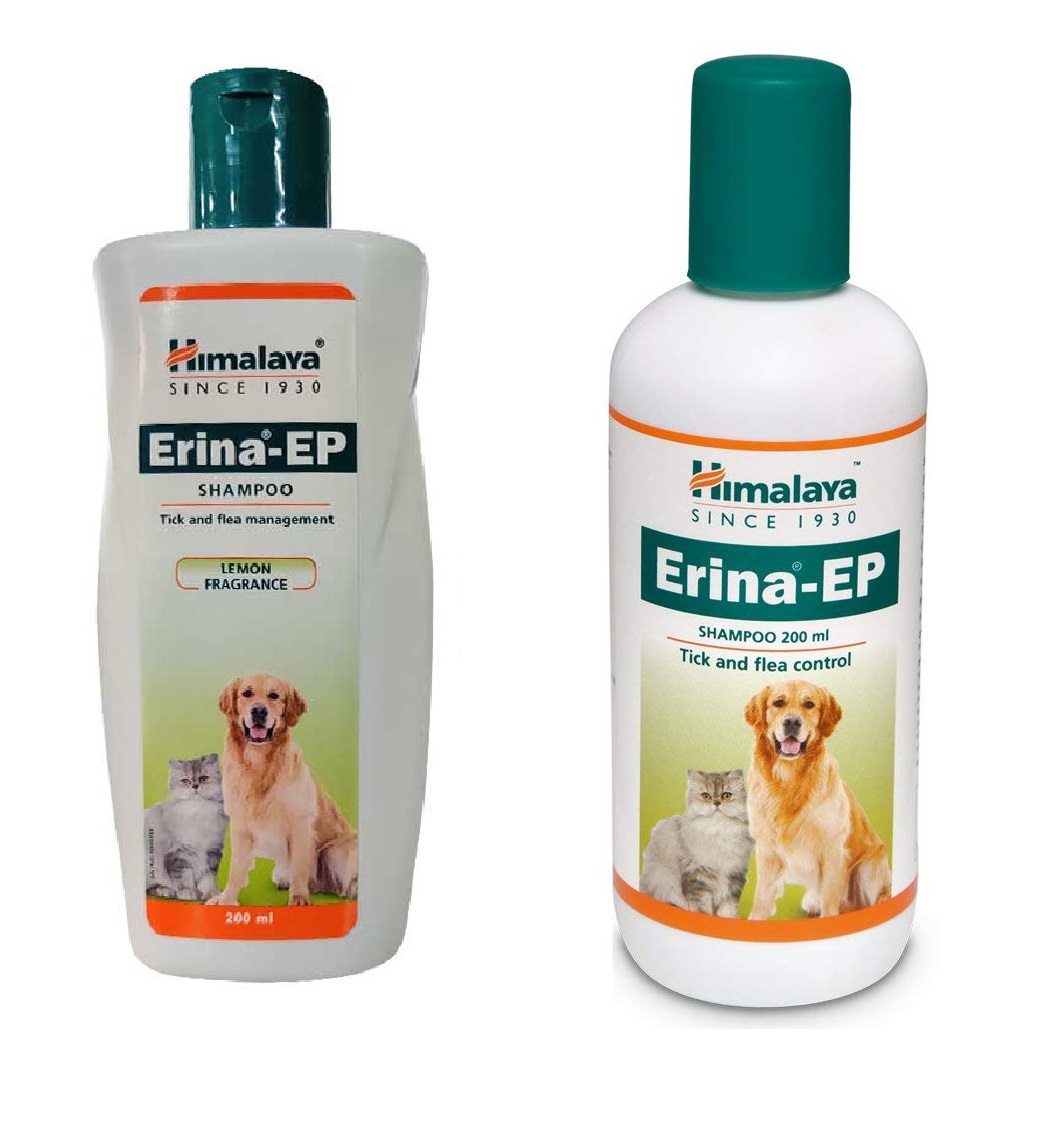 himalaya tick and flea shampoo