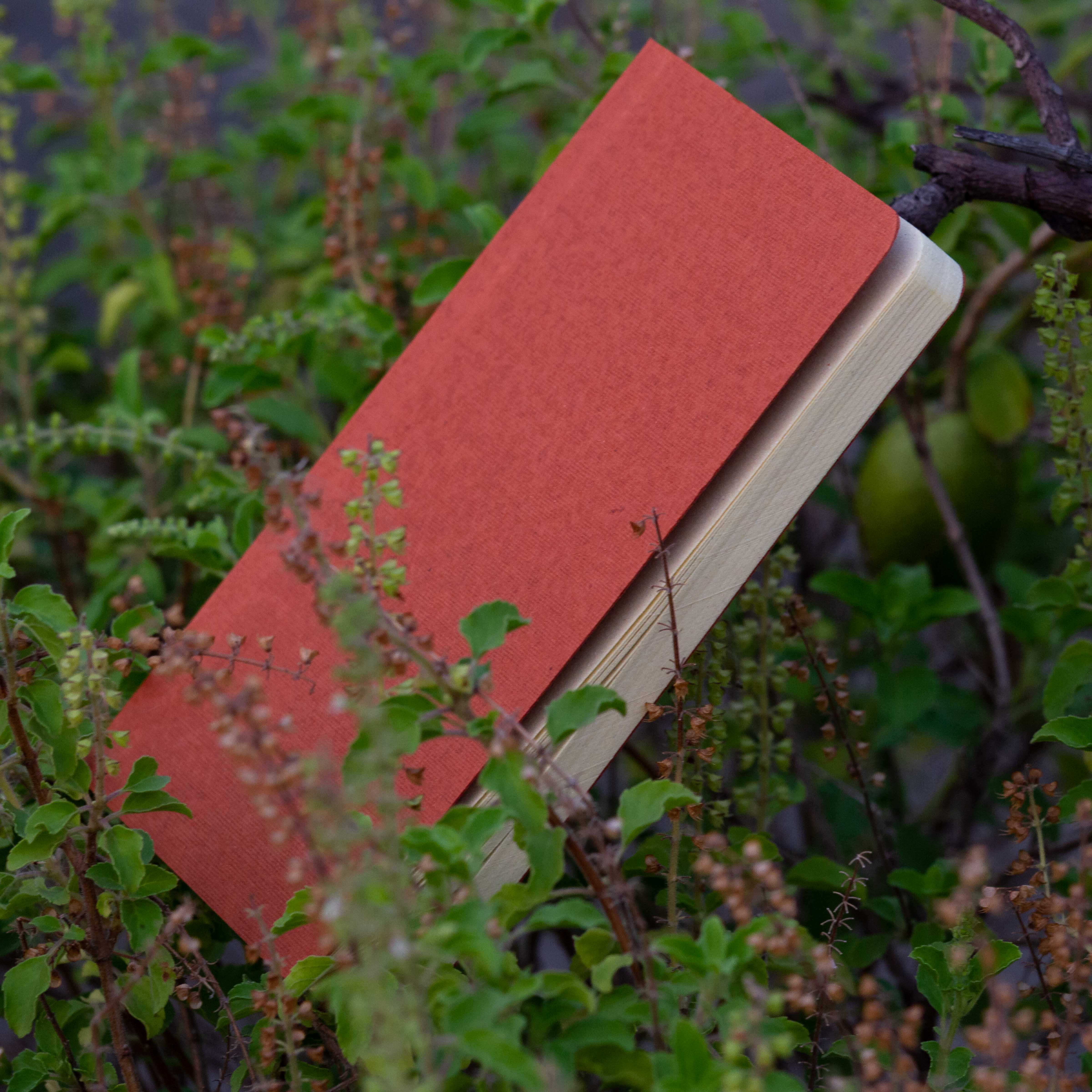 Tent Series Yellowish Page Hand Made Pinewood Texture Cover Notebook. 