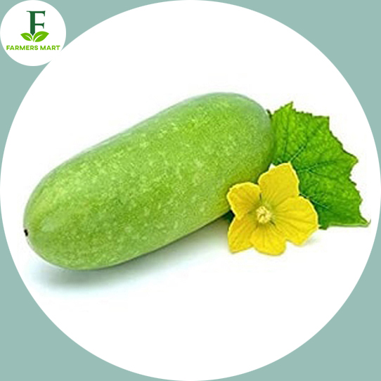 Chalkumra/Wax Gourd Seeds- Intact Packet. 