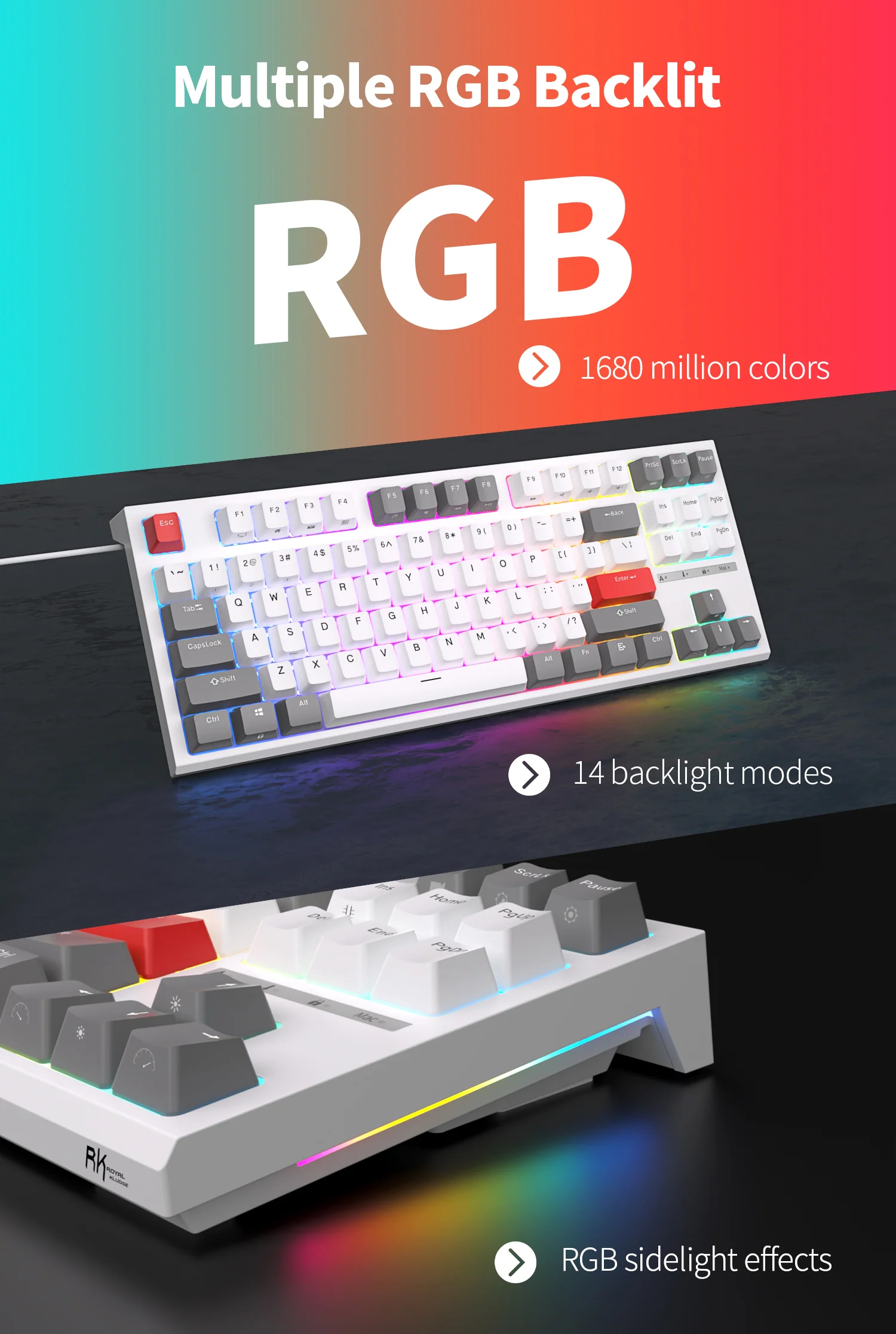 RK R87 ROYAL KLUDGE Wired Mechanical Keyboard 87 Keys RGB Backlit Hot Swap Gaming Keyboard Customised Keycaps with Dust Cover plug and play with computer or xbox or console. 