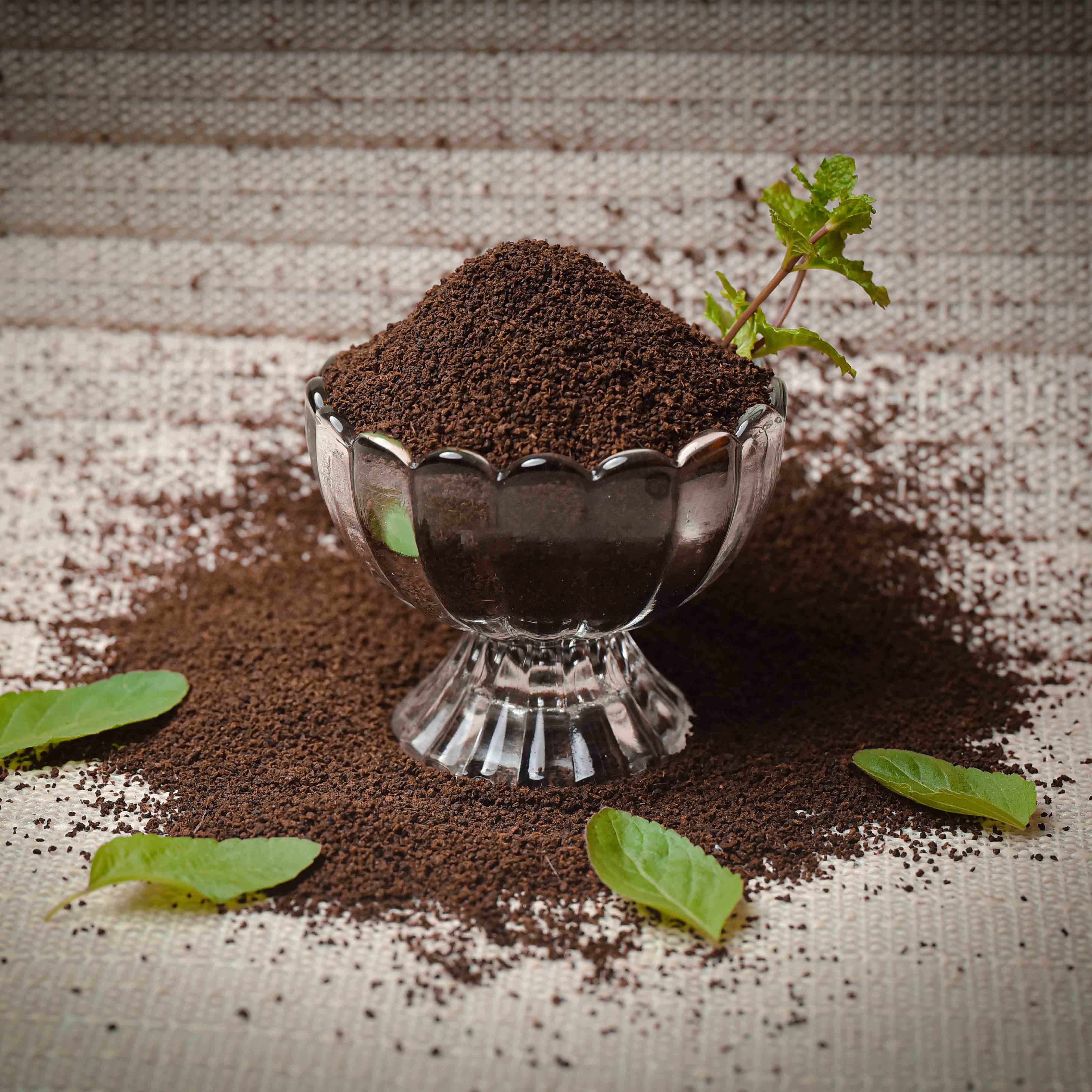 Organic Premium Tea 500gm