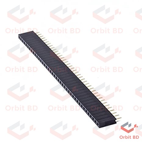 2Pcs Female Header Female Header Pin 40x1 Straight Pins Single Row 2.54mm Pitch Pin Female Header Connector Strip For Electronics Project Breadboard Friendly. 