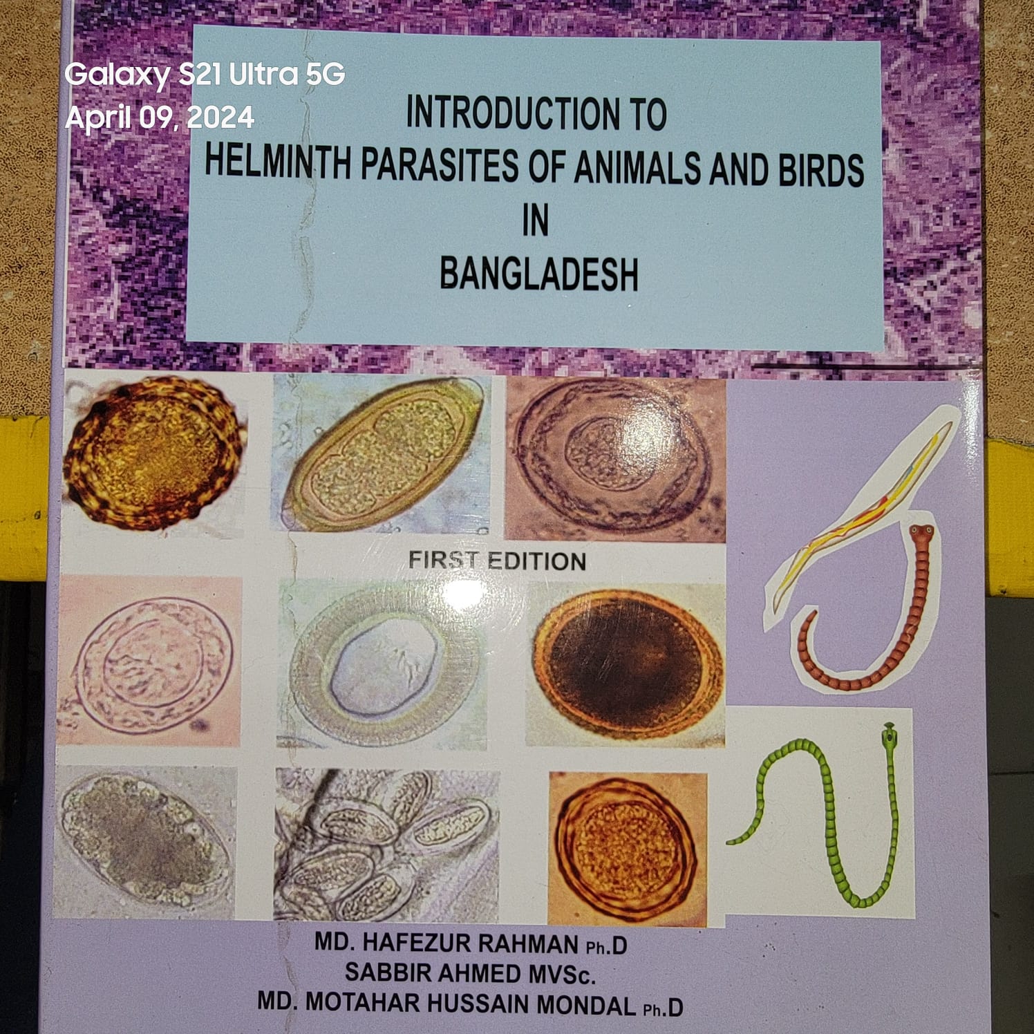 Introduction to Helminth Parasites of Animals Birds in Bangladesh By Md ...