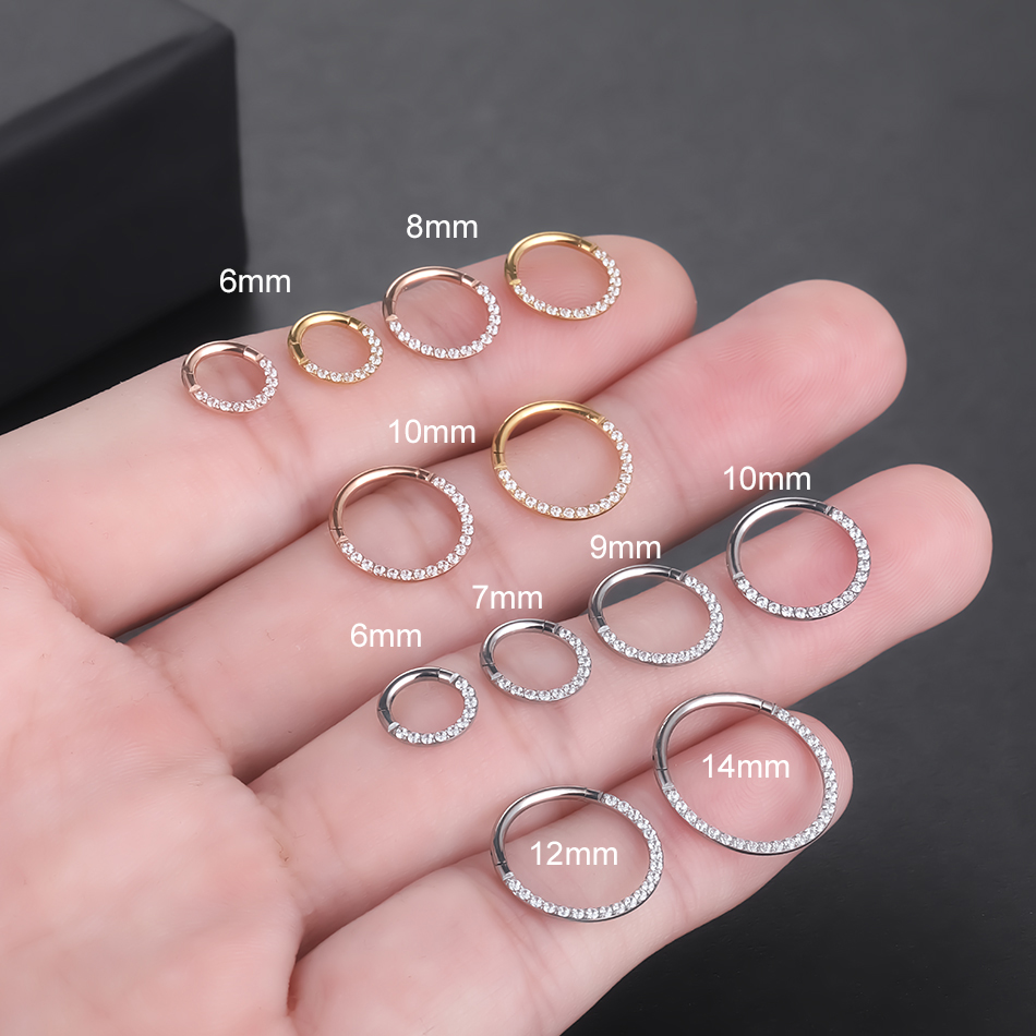10Pc G23 Titanium High Quality Zircon Stone Hight Segment Rings Open Small Septum Piercing Nose Earrings Helix Body Piercings. 