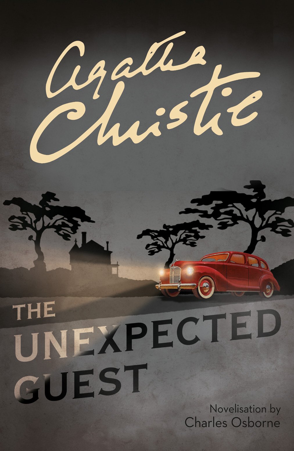 The Unexpected Guest (Paperback)