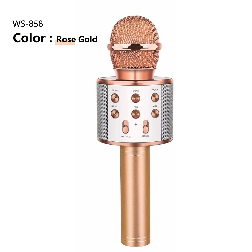 Children's Microphone Karaoke Home System Portable Bluetooth Speaker with Wireless Mic For Kid. 