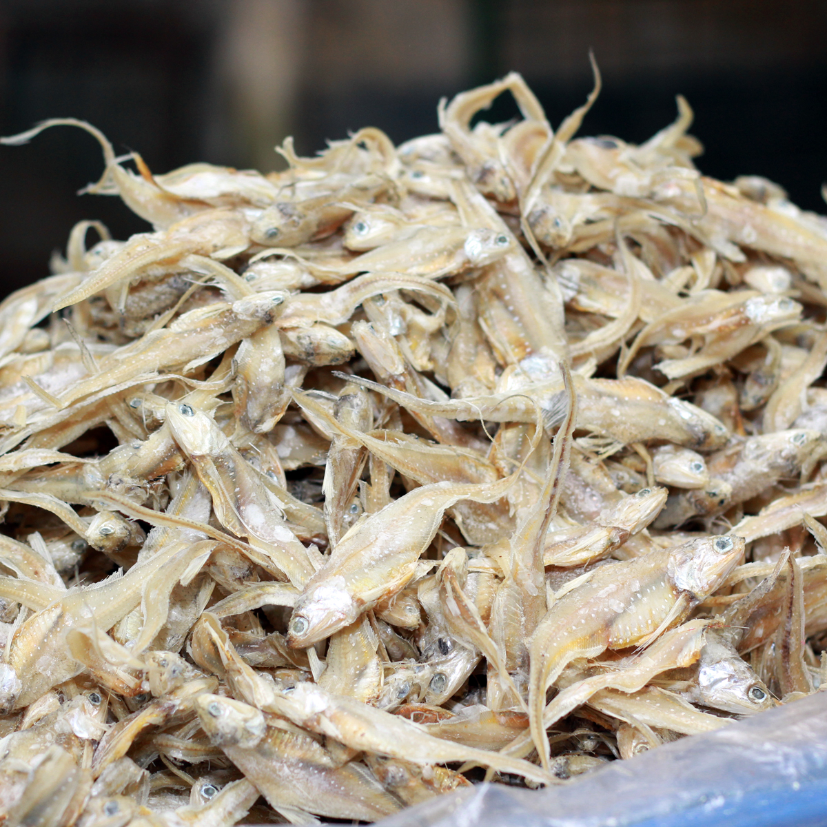 Sundori  Shutki/ Sutki mas/ Dry Fish/ Sundori Shutki- 500 gm