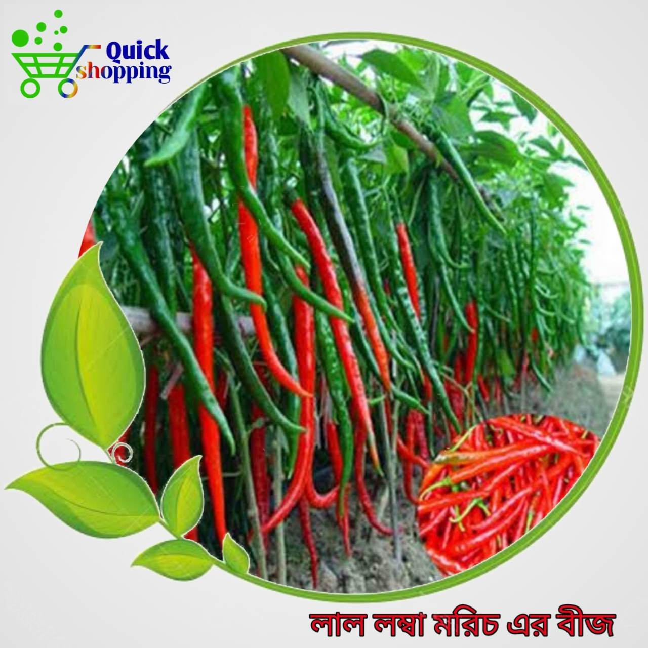 Hybrid Long Chili Seeds 40 Pis (All Season Chilis Seeds)