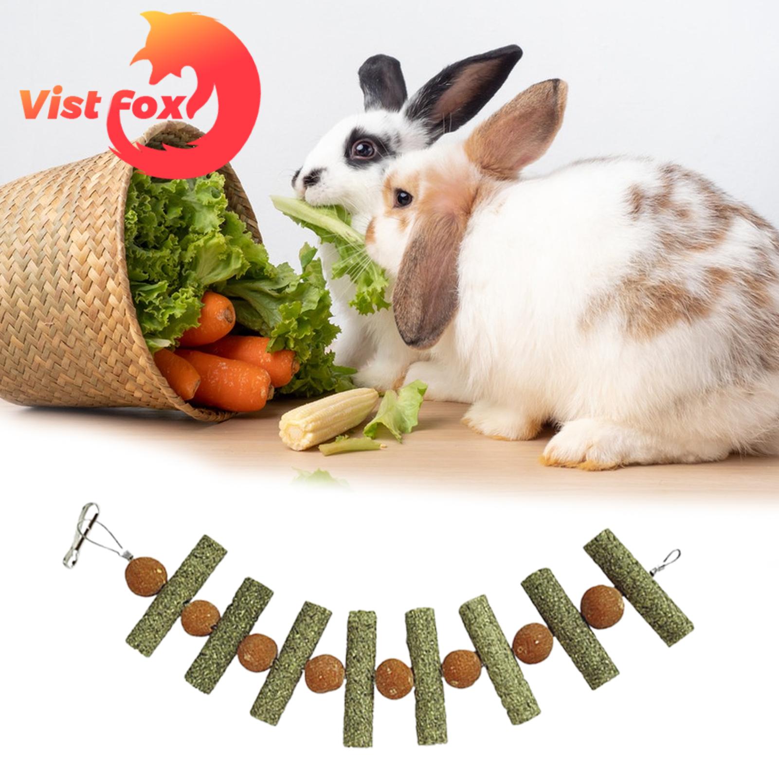 Vist Fox Rabbit Molar Stick Teeth Grinding Grass Cake Stick String Pet Chew Toy. 