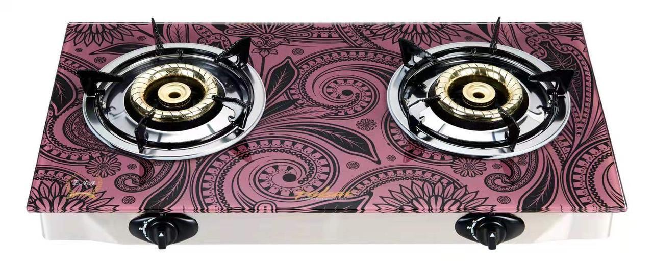 Double Burner Gas Stove
