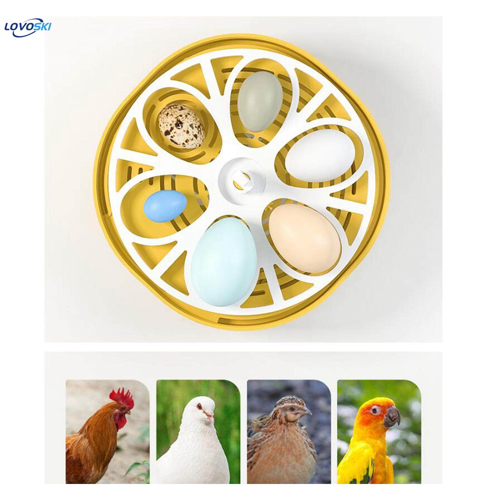 Egg Incubator for Birds Automatic Household Temperature Control Bird Hatcher Fully automatic. 
