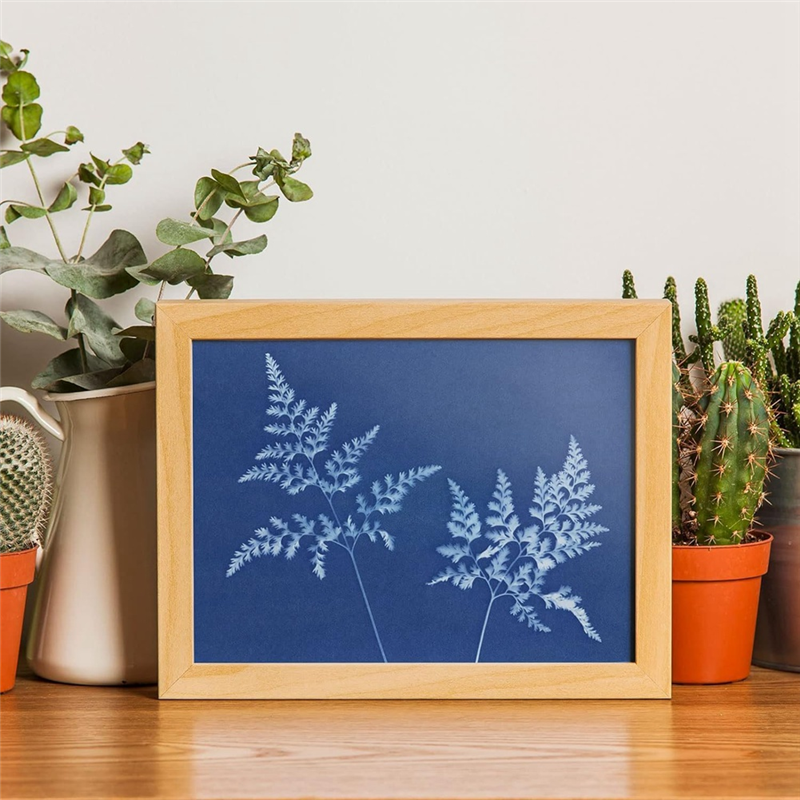 60 Sheets Sun Print Paper Cyanotype Paper Kit, A6 Sun Art Paper with 1 Plastic Tool for Sun Printing, Solar Paper. 