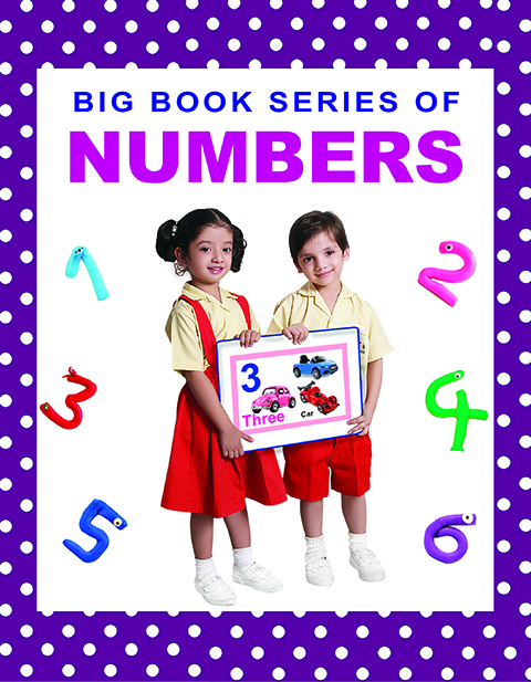 Big Book Series of Numbers 1 2 3 4 5 6 (Paperback). 