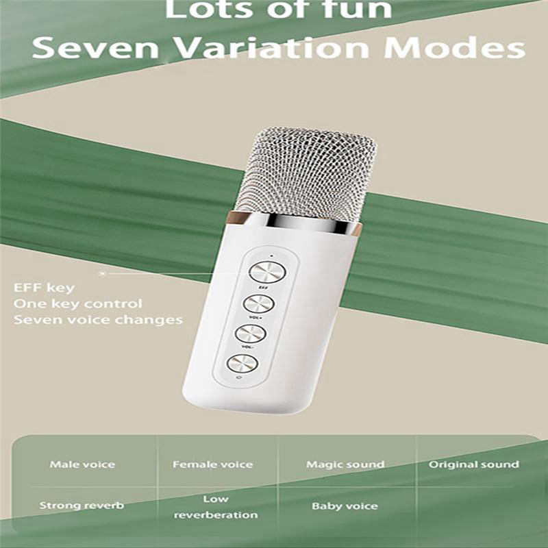 Speaker System with 2 Microphones Wireless Bluetooth Compatible Home Tv Ktv Set Speakers. 