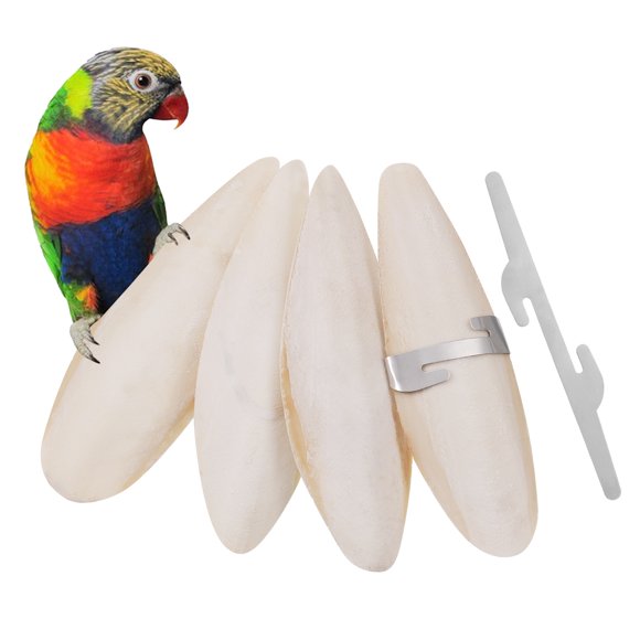 Cuttlefish bone for birds(Cuttlefish Bird Food)-50 gm. 