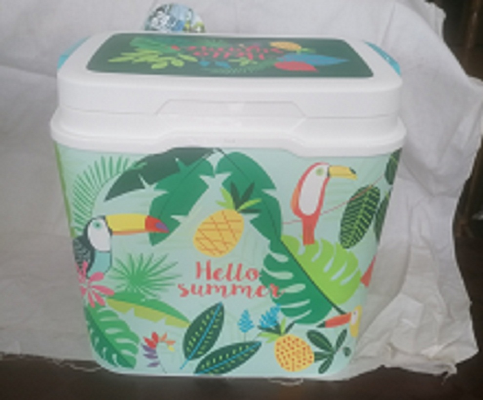 Thermal Ice Box 25 L. 