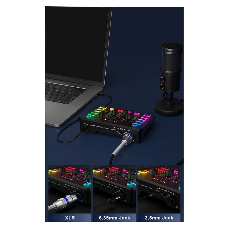Sound Card Audio Interface Mixer with XLR Microphone Interface. 
