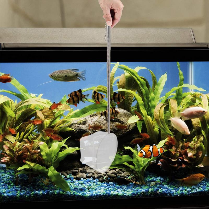 Fish Net For Fish Fish Nets For Aquariums With Adjustable 5-15 Inch Long Handle Small Aquarium Net Goldfish Pond Shrimp Net. 