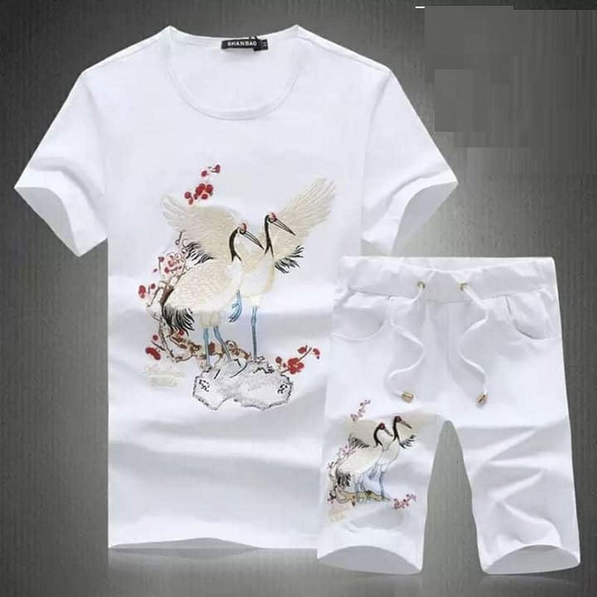 Exclusive Summer Combo T-Shirt \u0026 Pant 