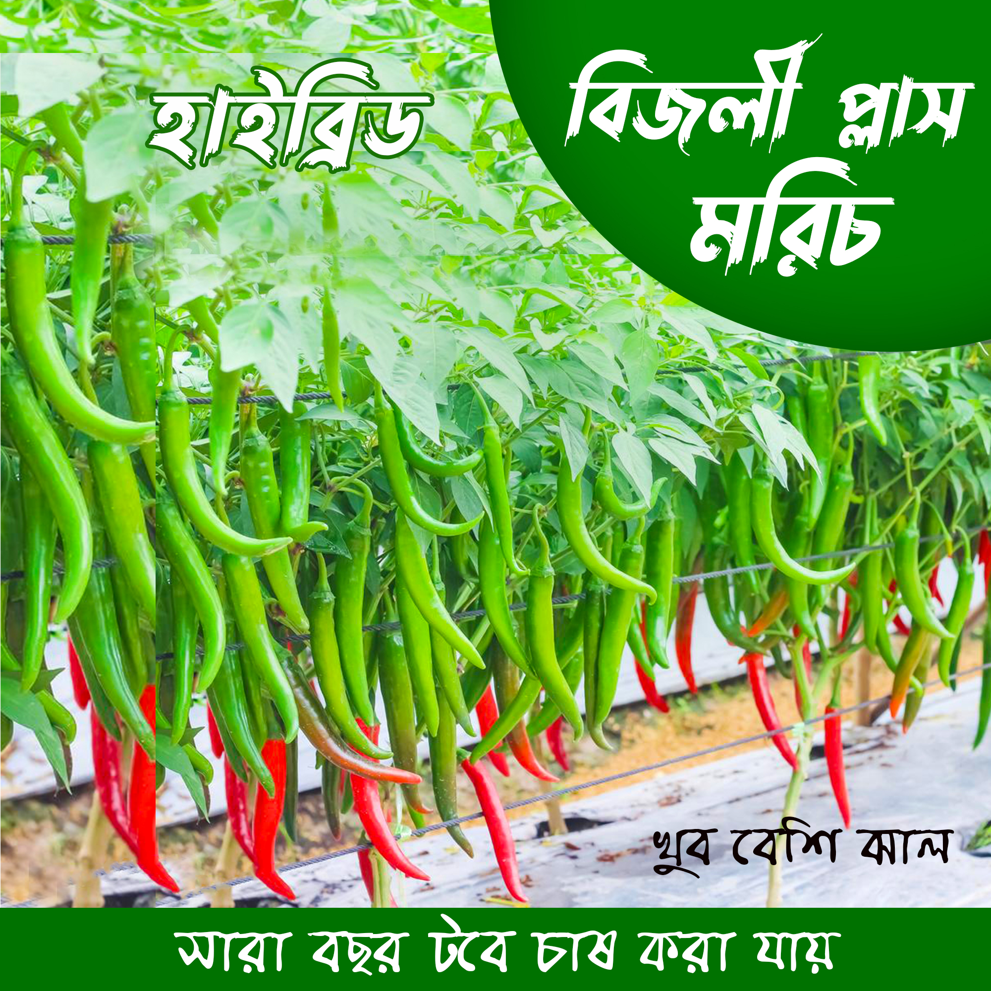 Natasha Korleva jinsiy marifat