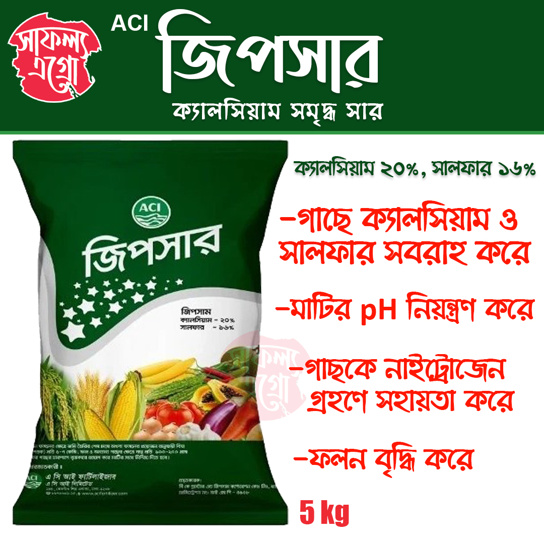 Легинстер мен шорт киген сексуалды қыздар