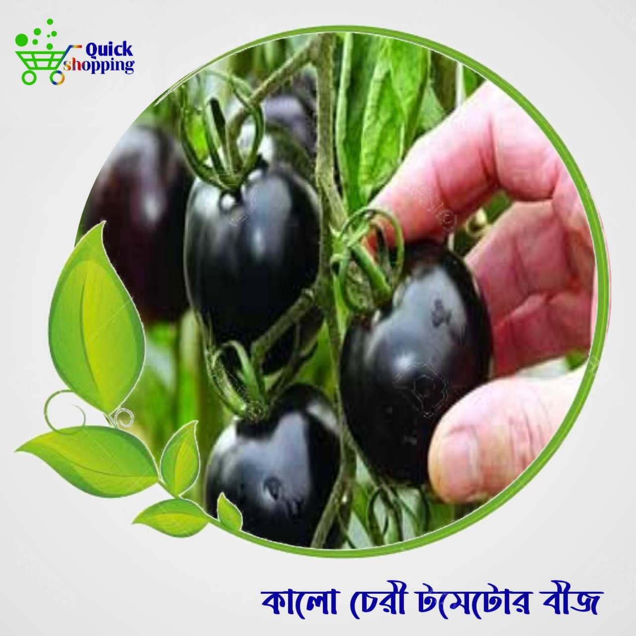 Cherry Tomato Seeds 15 Pices (Black Color)