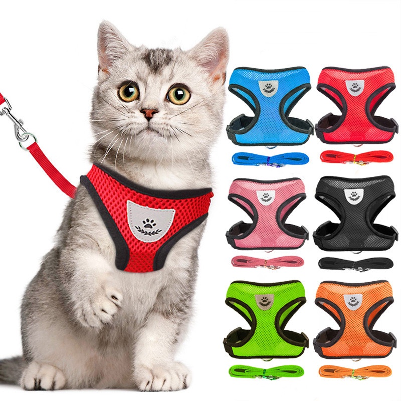 Leashes & Collars at Best 25 Off on Daraz Buy Online