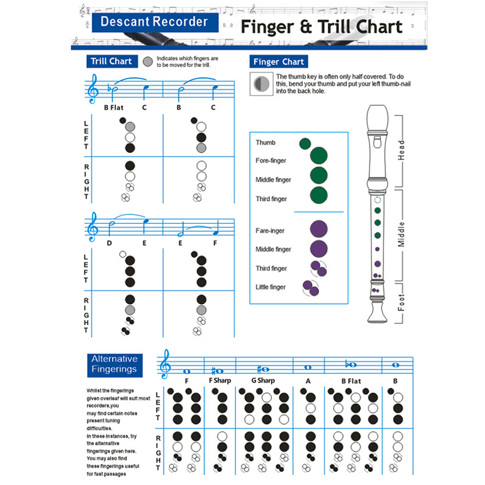 Recorder Chords Scales Chart Master Recorder Chord Progressions Reference Poster Recorder Chords Theory Poster For Beginners Teacher. 