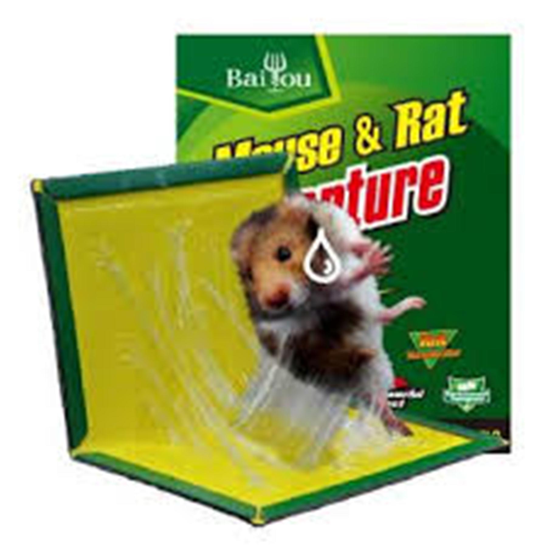 Ratgmlue Tin Application - Chemibond Gmlue Trap, Ratgmlue, Diy, Non. 
