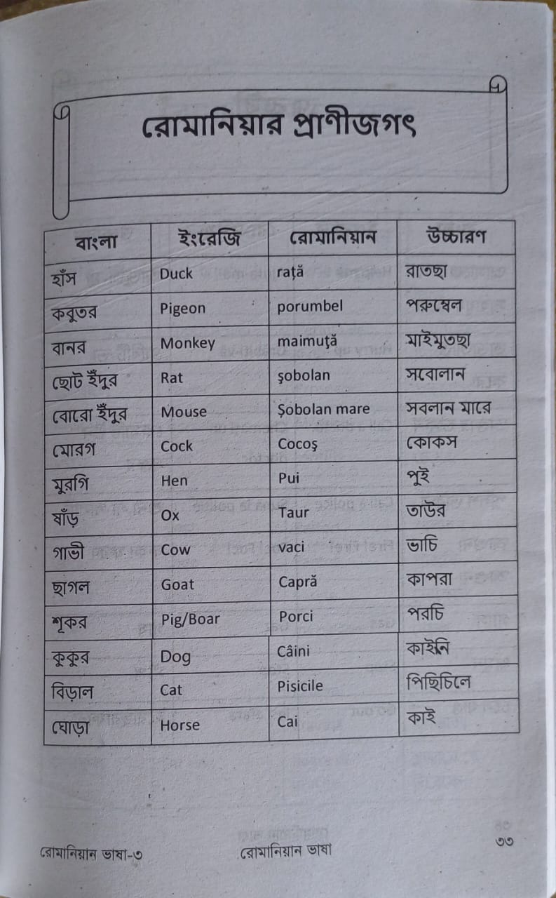 Romanian language learning Book. 