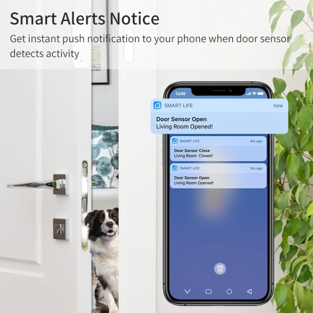 Tuya Zigbee/WiFi Magnetic Doo Window Sensor Open Closed Alarm Detector Smart Life APP Work With Alexa Google Home Need Gateway. 