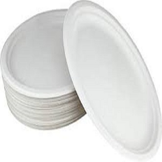 20 pcs Disposable Plastic Plate 9.5 inch One Time Use Plat Ideal for Outdoor birthday party Wedding anniversary. 